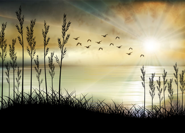 Fotomurales o papel pintado ilustración paisaje